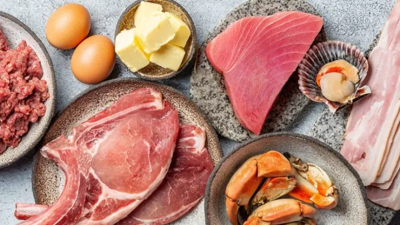 Is the Carnivore Diet Safe? Evaluating the Risks and Benefits of an Animal-Based Eating Approach