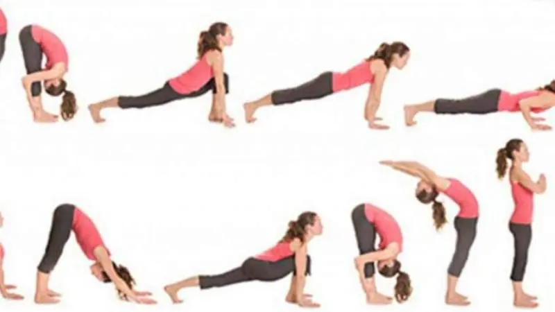 Weight Loss Yoga for Beginners: An In-Depth Guide