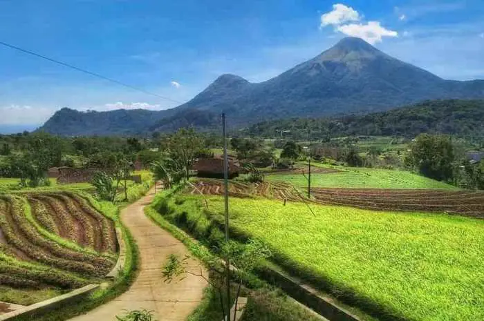 The Most Popular Mojokerto Trawas Tourist Attractions