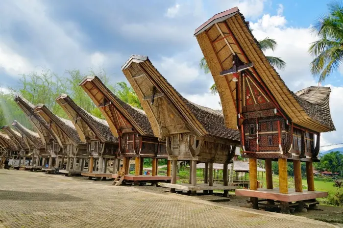 Tourist Attractions in Toraja You Must Visit