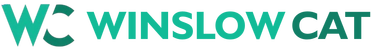 WikiVice.com